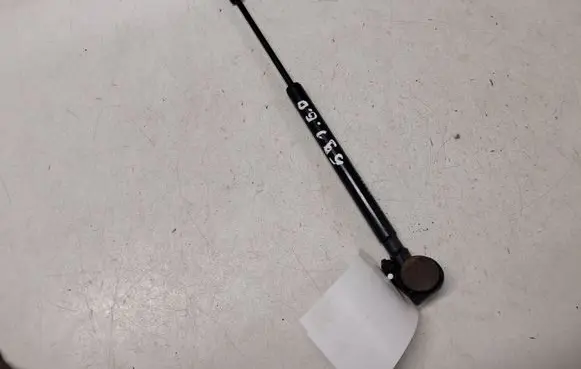 Chevrolet Captiva Rear window strut damper 82553891300
