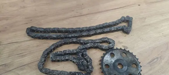 BMW 3 E46 Timing chain (engine)