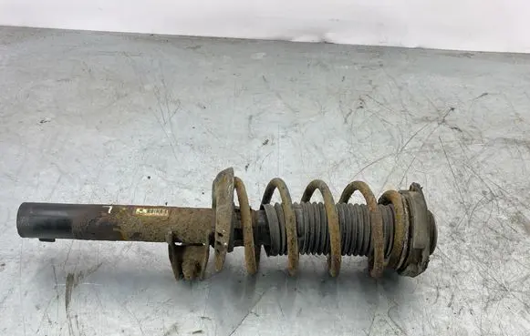 Volkswagen Golf Plus Front shock absorber/damper 1K0413031BF