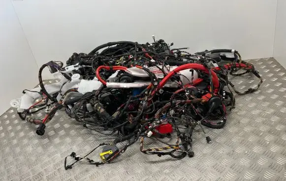 BMW X3 G01 Wiring harness 
