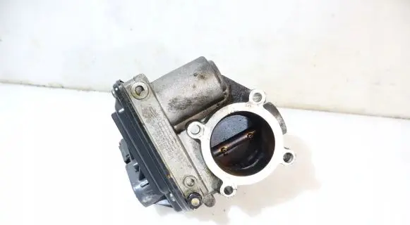 Throttle body valve