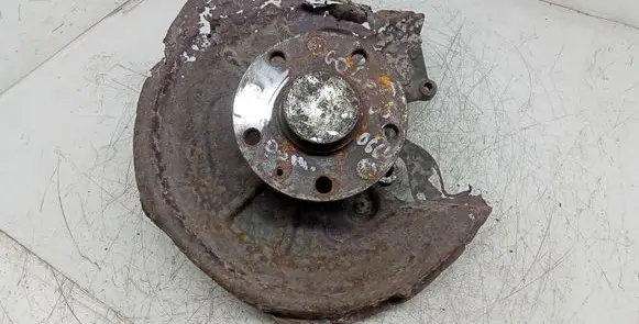 Volkswagen Golf V Rear wheel hub spindle/knuckle 
