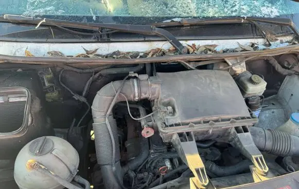 Mercedes-Benz Sprinter W906 Engine 651955