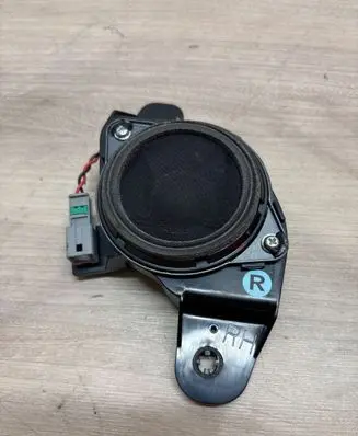 Panel speaker