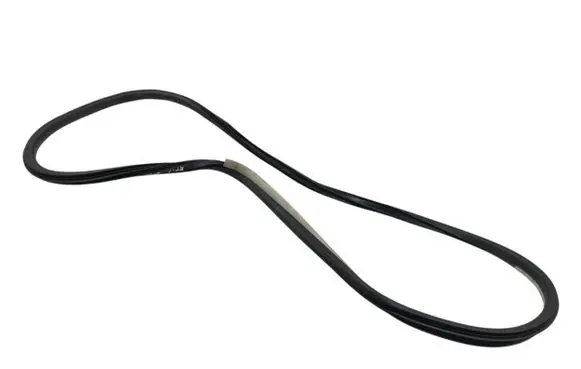 Renault Talisman Rubber seal front door (on door) 