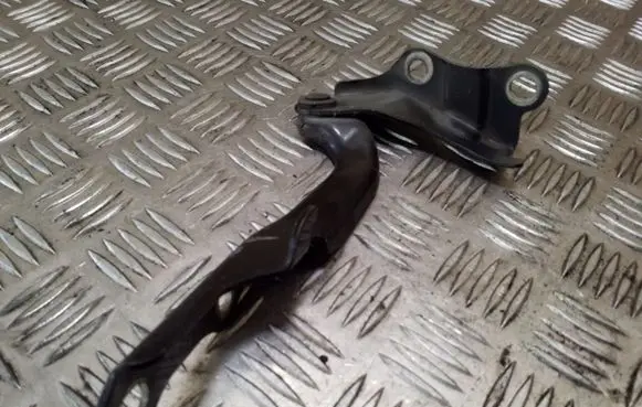 Toyota RAV 4 (XA20) Engine bonnet/hood hinges