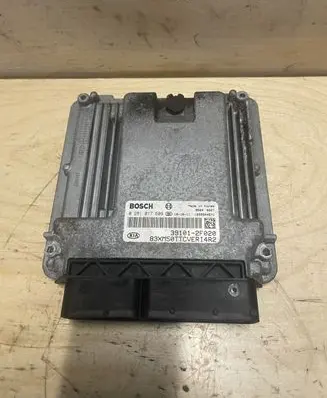 KIA Sorento Engine control unit/module 391012F020 0281017609
