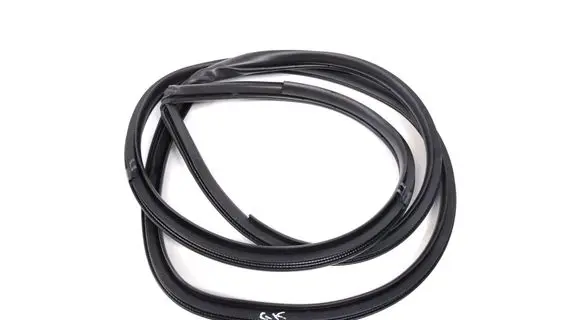 Lexus NX Rubber seal rear door 