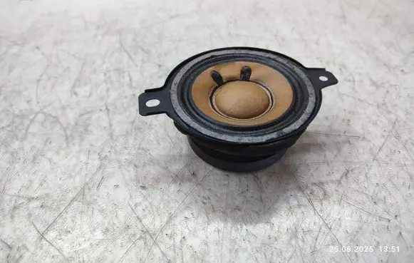 Opel Insignia A Panel speaker 13240967