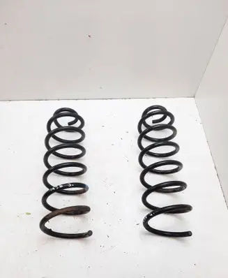 Rear coil spring