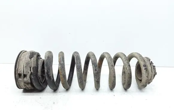 Rear coil spring