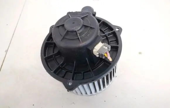 Hyundai Sonata Heater fan/blower f00s330024