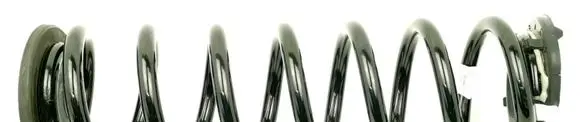 Front coil spring