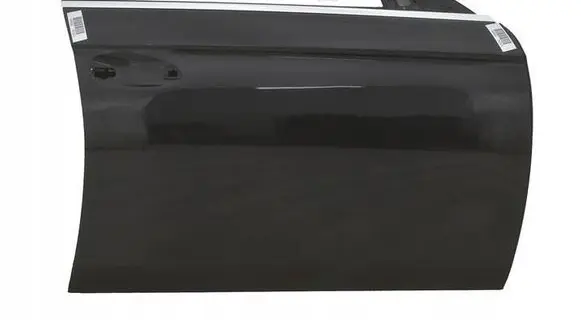 Mercedes-Benz CLS C219 Front door 