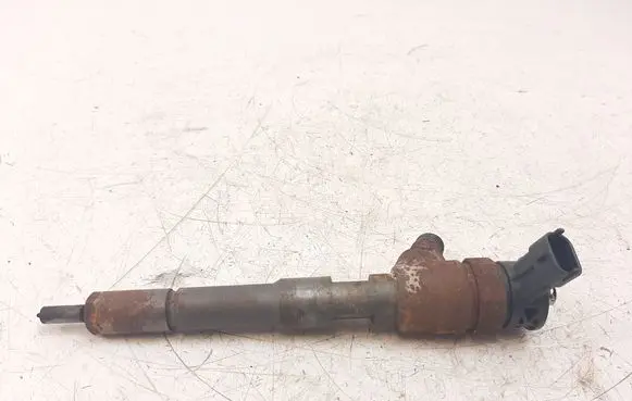 Nissan NV200 Fuel injector H8201108033 0445110485