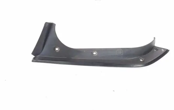 Rear/tail light trim molding