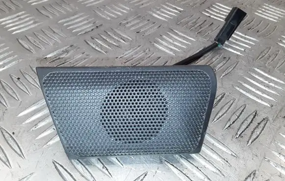 Chevrolet Captiva Rear door speaker