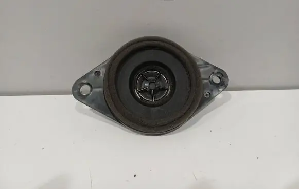 Toyota RAV 4 (XA40) Panel speaker 8616052340