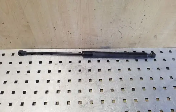 Dacia Sandero Tailgate/trunk strut/damper 904529943R