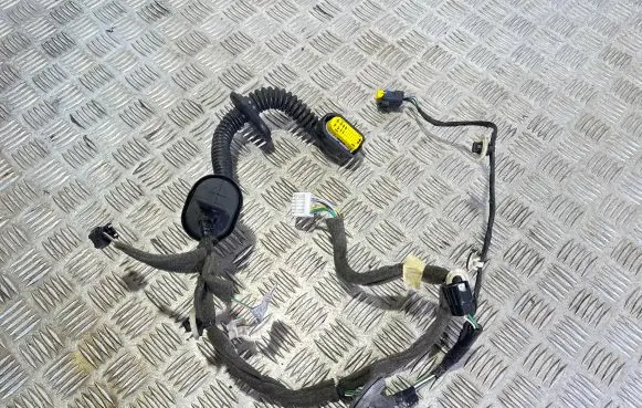 Renault Twingo III Front door wiring loom 242103703R A4539980605