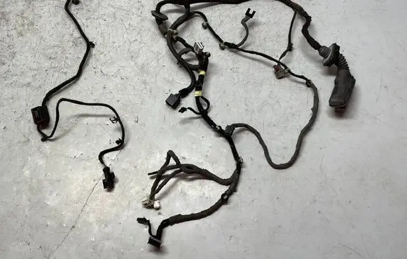 Opel Insignia A Front door wiring loom 39001383