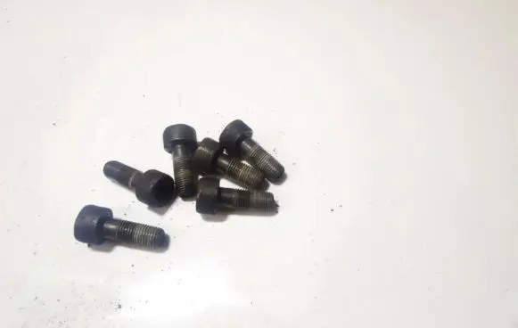 Renault Laguna II Nuts/bolts 