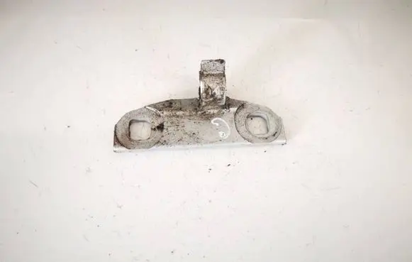 Rear door lower hinge