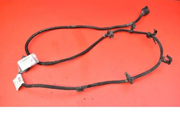 Other wiring loom