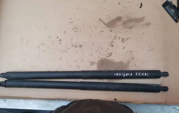 Opel Insignia A Tailgate/trunk strut/damper 13247849