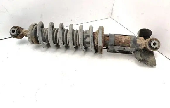 Peugeot 407 Rear shock absorber with coil spring 9652435780