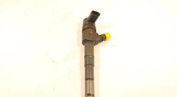 Opel Insignia A Fuel injector 0445110423