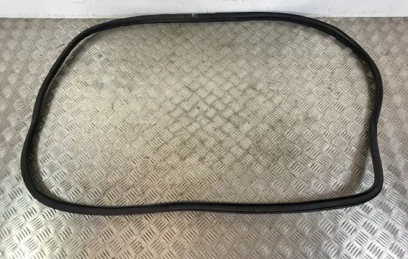 Dodge Durango Front door rubber seal