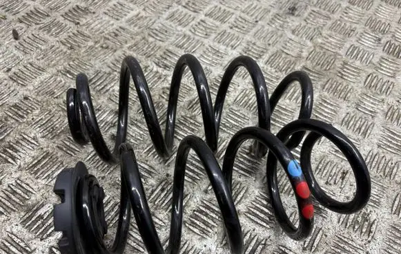 Rear coil spring