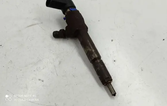 Ford Transit - Tourneo Connect Fuel injector 7T1Q9F593AB 10317
