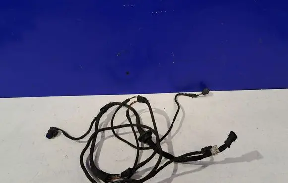 Mercedes-Benz CLS C219 Parking sensor (PDC) wiring loom A2195404605