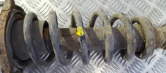 Rear coil spring