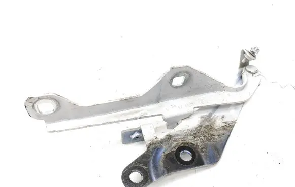 Ford Mustang VI Engine bonnet/hood hinges FR3B16800AD