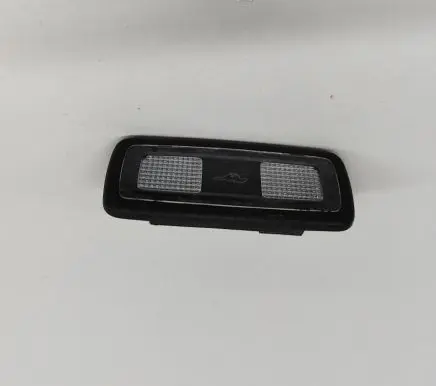 Ford Mustang Mach-E Front seat light LJ8A13A756