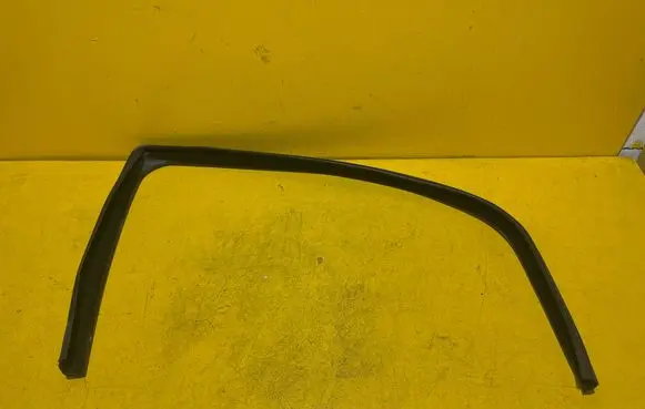 Fiat Punto Evo Rubber seal rear door window/glass 