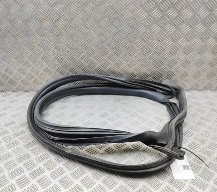 Tesla Model 3 Rubber seal rear door 109051099E