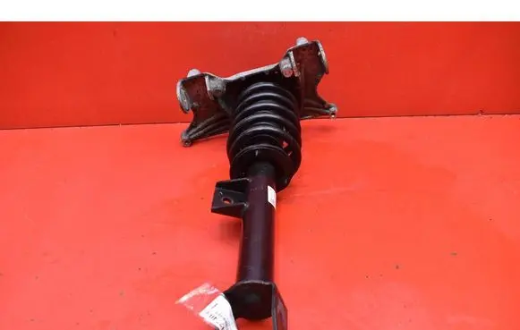 Tesla Model Y Front shock absorber/damper 118837900B