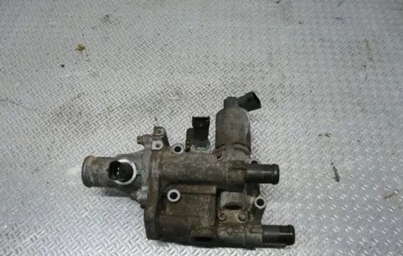 Thermostat/thermostat housing