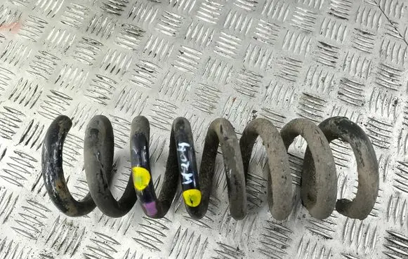 Rear coil spring