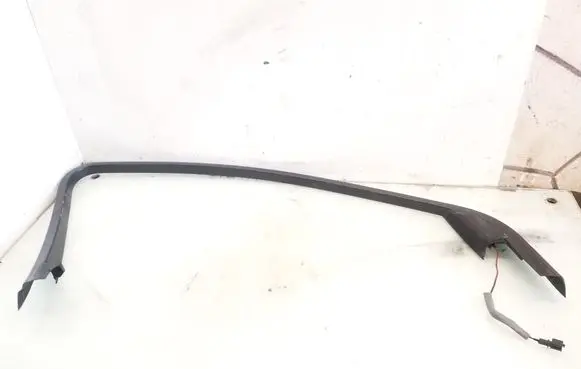 Front door glass trim molding