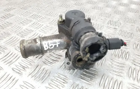 Thermostat/thermostat housing