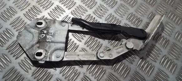 Volkswagen Caddy Engine bonnet/hood hinges 1t0823302e