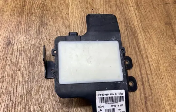 Blind spot module