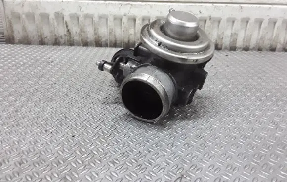 Volkswagen Golf IV EGR valve 038131501E