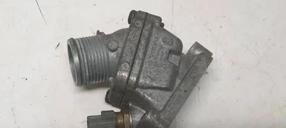 Thermostat/thermostat housing