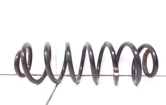 Skoda Octavia Mk2 (1Z) Rear coil spring